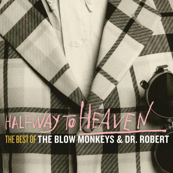 cover cover