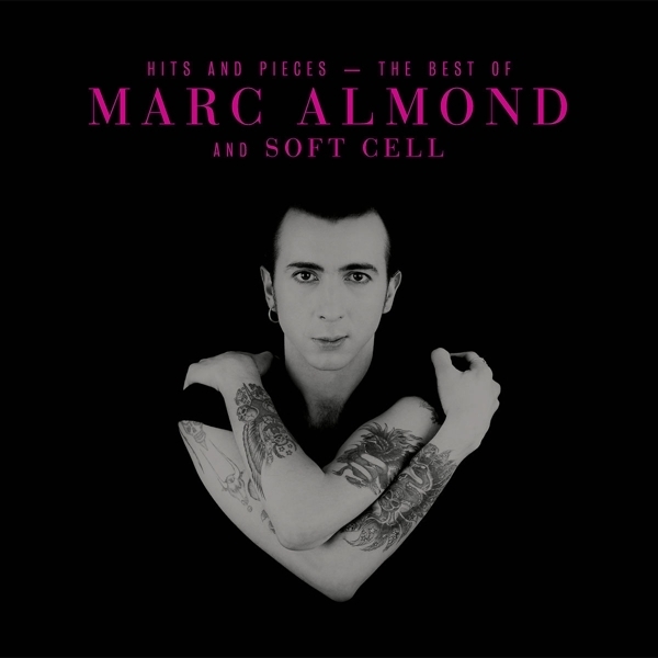 cover cover