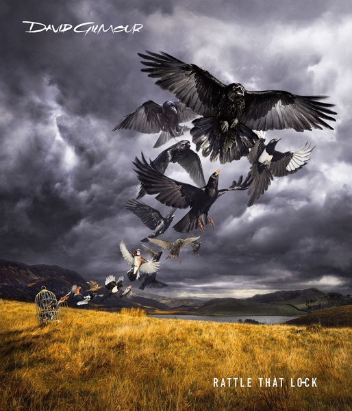 cover cover
