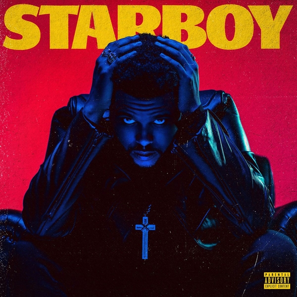 cover cover