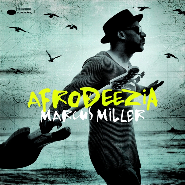 cover cover