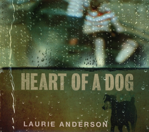 cover cover