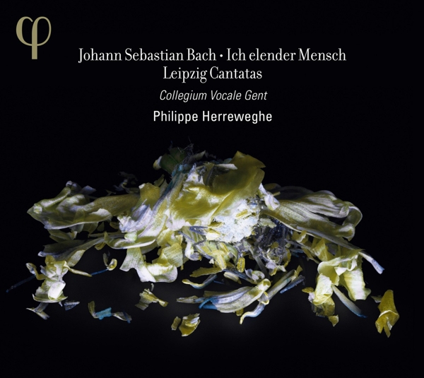 cover cover