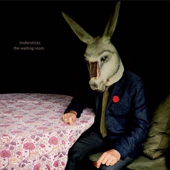 cover cover