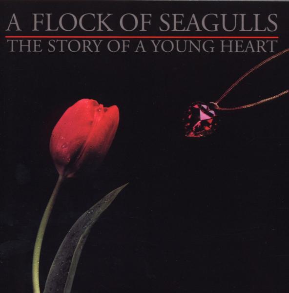 cover cover