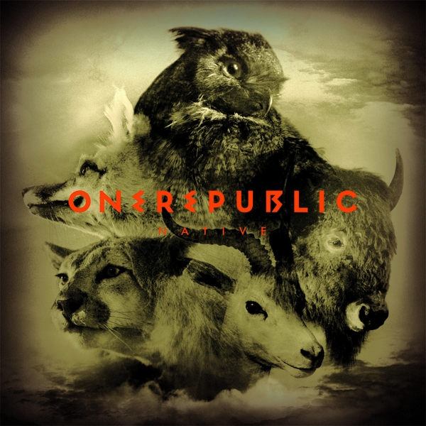 cover cover