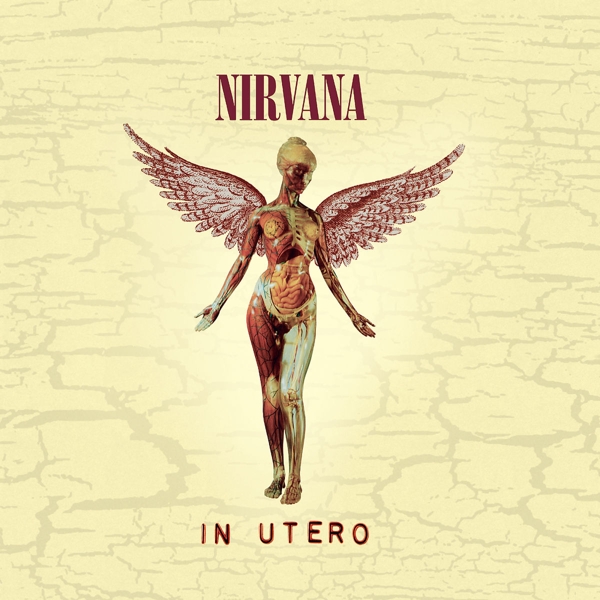 cover cover