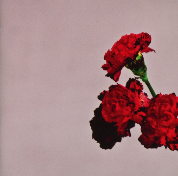 cover cover