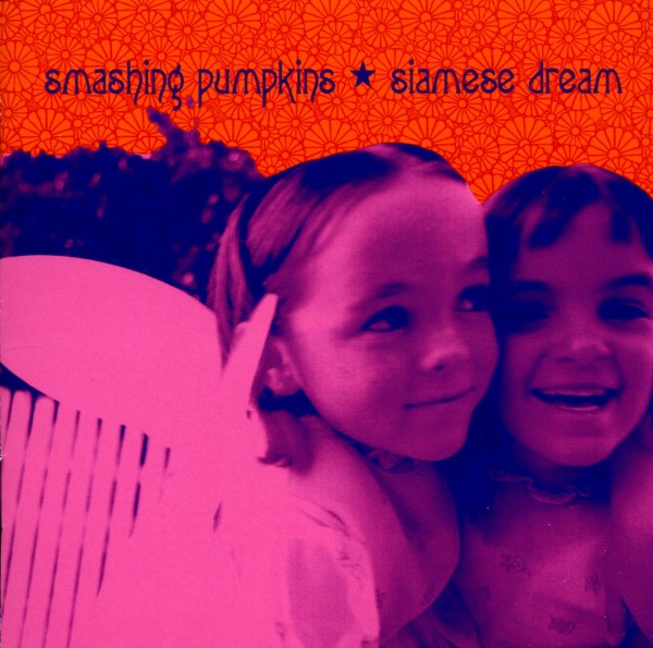 cover cover