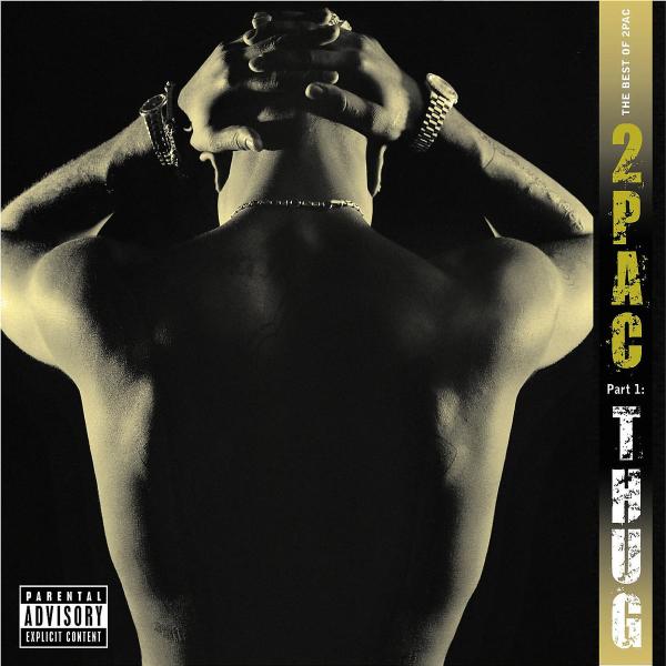 cover cover