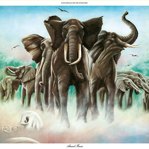 cover cover