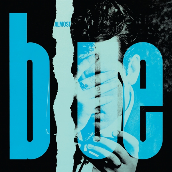 cover cover