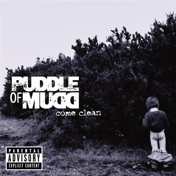 cover cover