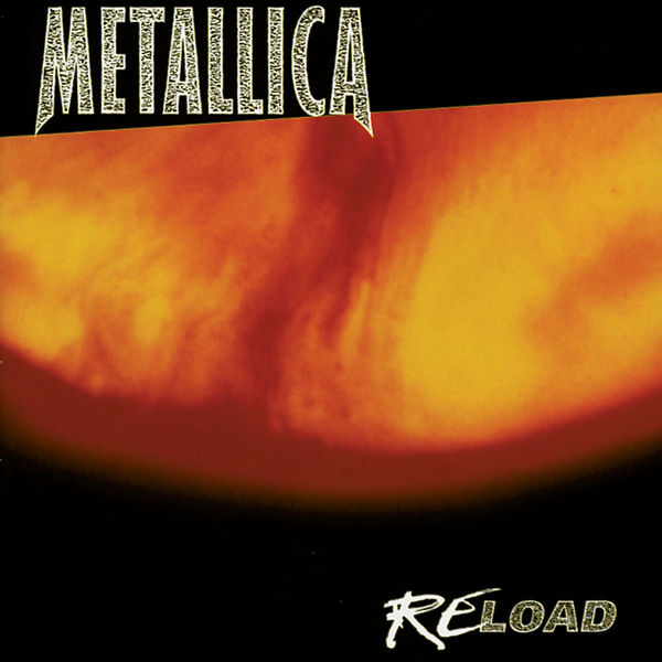 cover cover