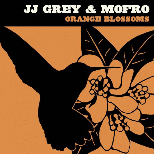 cover cover