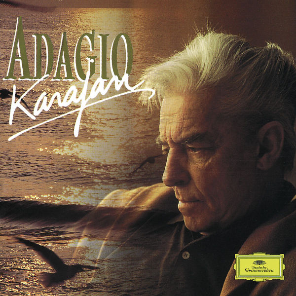 cover cover