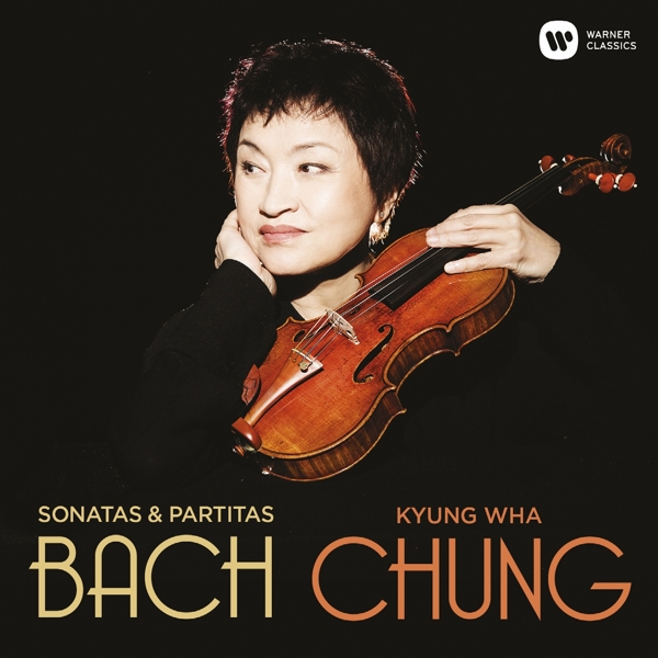 cover cover
