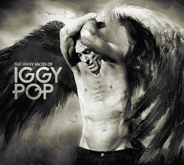 cover cover