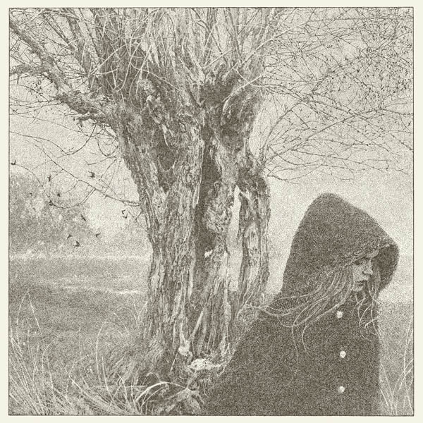 cover cover