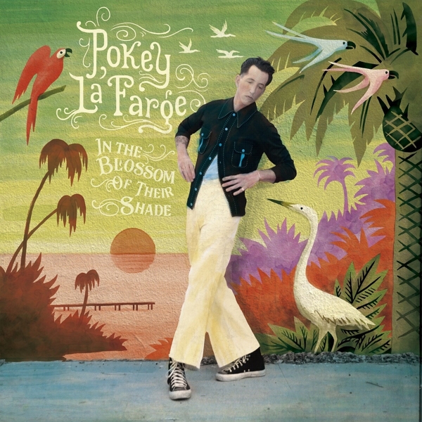 cover cover