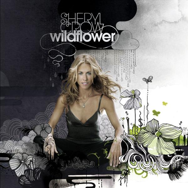 cover cover