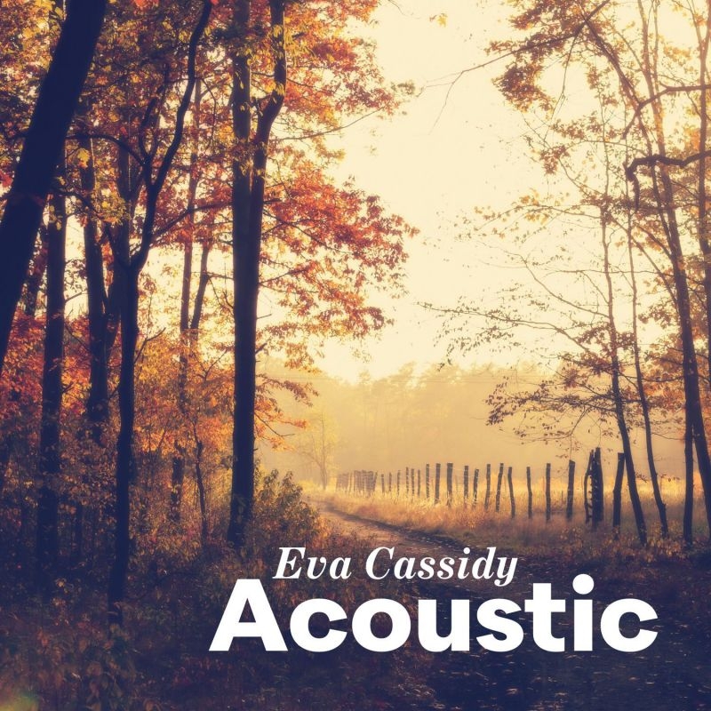 cover cover