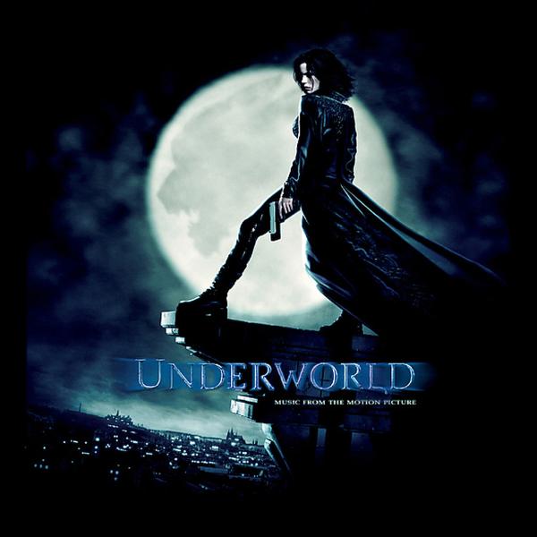 cover cover