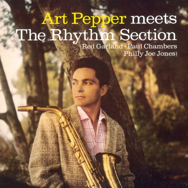 cover cover