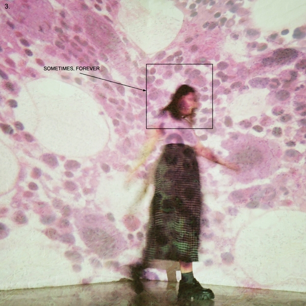 cover cover